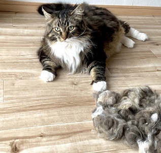 ねこべやサロンのレーキング説明図2