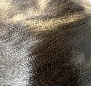 ねこべやサロンのレーキング説明図3