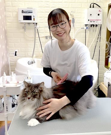 ねこべやサロンのグルーマー写真