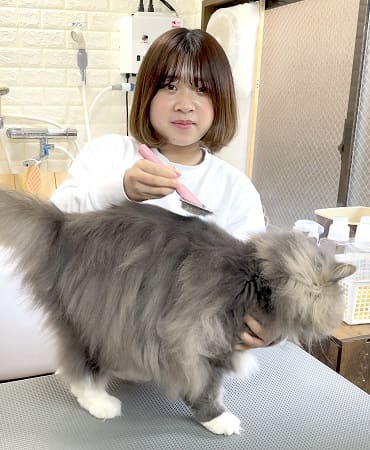 ねこべやサロンのグルーマー写真
