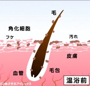 ねこべやサロンオゾン説明図