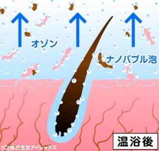 ねこべやサロンオゾン説明図2