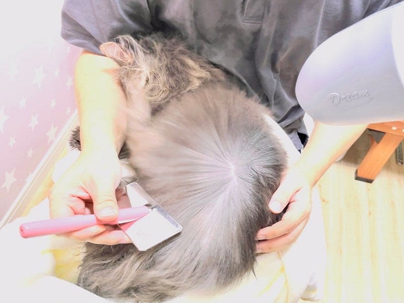 ねこべやサロンのドライ